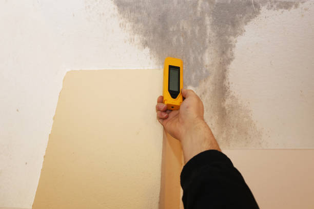 Best Mold Remediation for Healthcare Facilities  in Utica, NE
