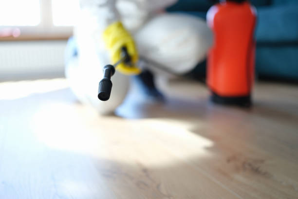 Best Mold Removal for HVAC Installations  in Utica, NE