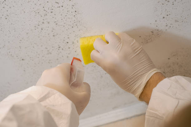 Best HVAC Mold Inspection and Cleaning  in Utica, NE