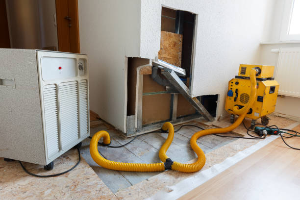 Best Mold Damage Restoration  in Utica, NE