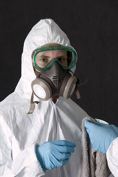Trusted Utica, NE Mold Removal Experts